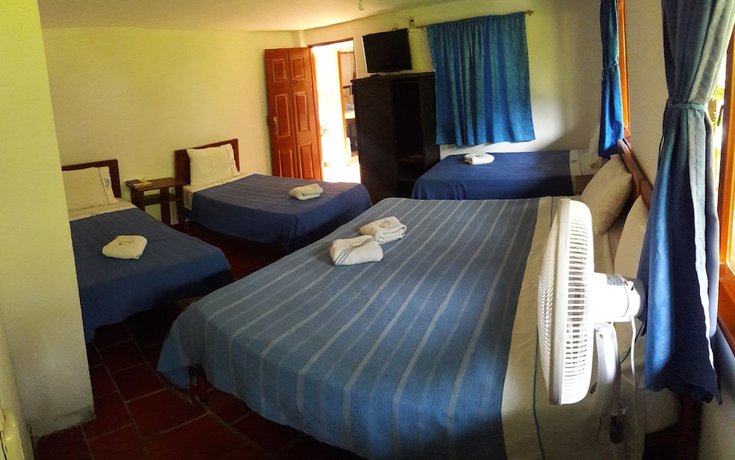 Imagen de la habitación del Hotel Campestre Davileja. Foto 8