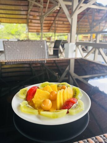 Imagen general del Hotel Campestre Villa M&oacute;naco. Foto 7