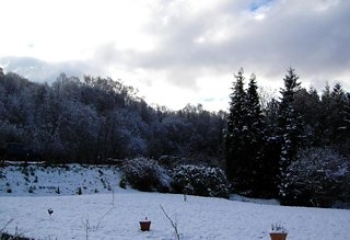 Imagen general del Hotel Campfield House. Foto 3