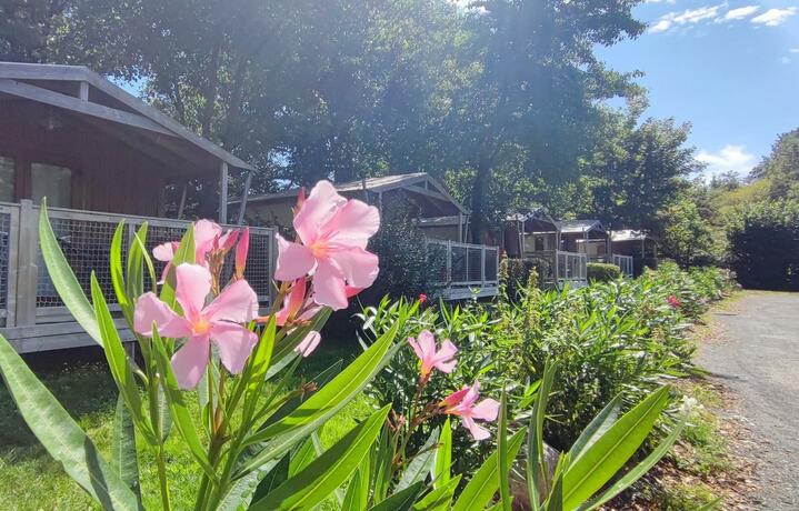 Imagen general del Hotel Camping Capfun La Bretèche. Foto 12