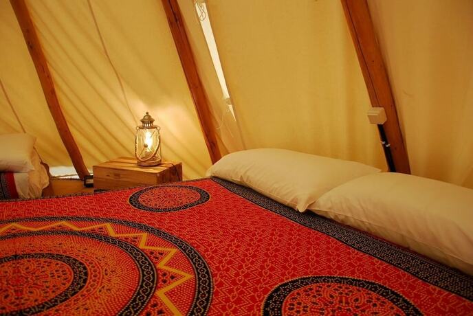 Imagen general del Hotel Camping El Roble. Foto 10