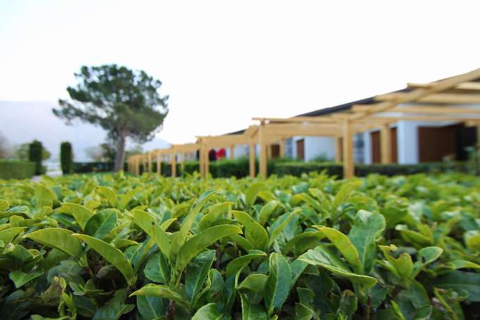 Imagen de los exteriores del Hotel Camping Europa, Domaso. Foto 17
