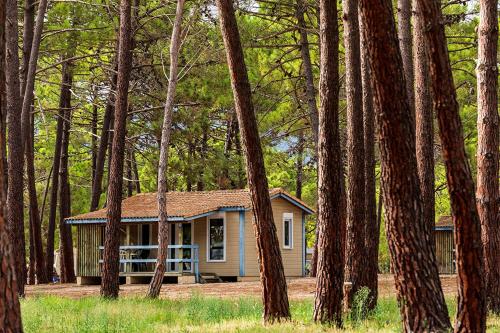 Imagen de la habitación del Hotel Camping Golfo Di Sogno. Foto 12