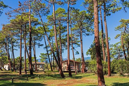 Imagen de la habitación del Hotel Camping Golfo Di Sogno. Foto 13