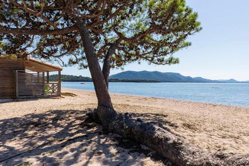 Imagen general del Hotel Camping Golfo Di Sogno. Foto 2