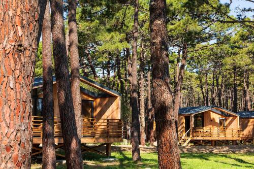 Imagen de la habitación del Hotel Camping Golfo Di Sogno. Foto 17