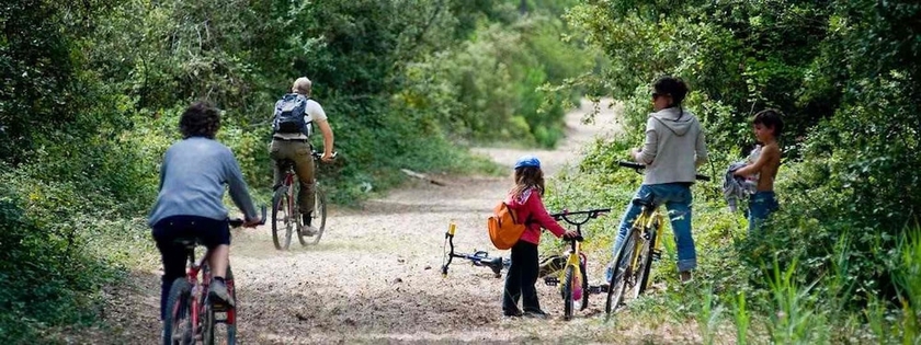 Imagen general del Hotel Camping Huttopia Oleron Les Pins. Foto 2