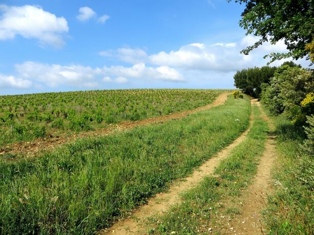 Imagen general del Hotel Camping L\'Art De Vivre. Foto 8