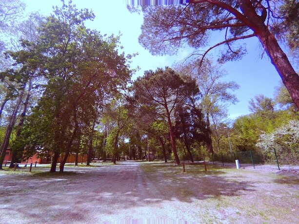 Imagen general del Hotel Camping L\'Art De Vivre. Foto 15