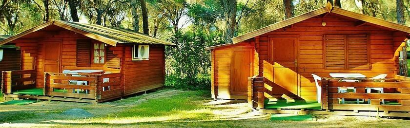 Imagen general del Hotel Camping La Ardilla Roja. Foto 12