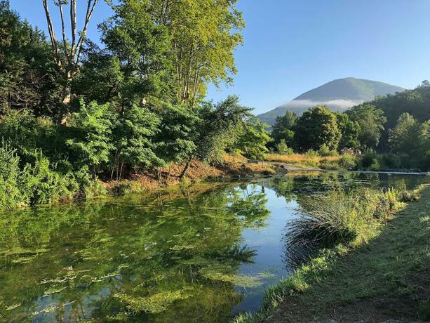 Imagen general del Hotel Camping La Bernede. Foto 24