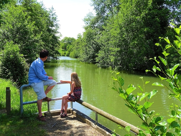 Imagen de los exteriores del Hotel Camping La Sittelle. Foto 10