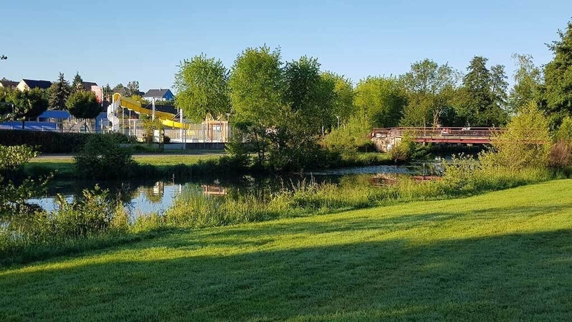 Imagen de los exteriores del Hotel Camping La Sittelle. Foto 12