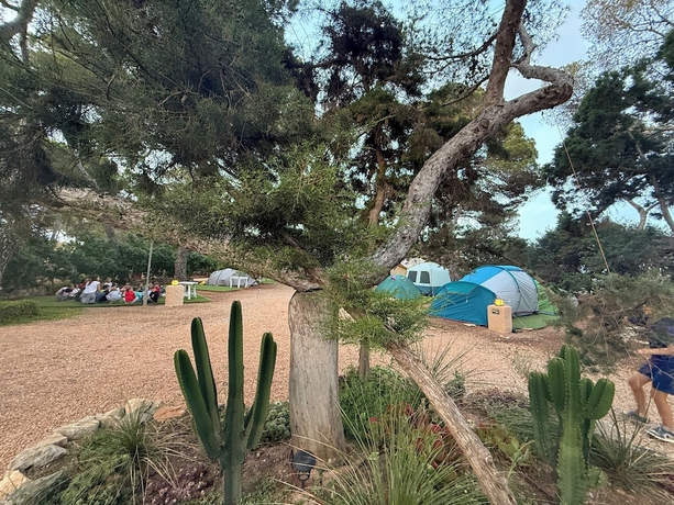 Imagen de los exteriores del Hotel Camping Laplaya Ibiza. Foto 8
