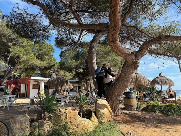 Imagen de los exteriores del Hotel Camping Laplaya Ibiza. Foto 9