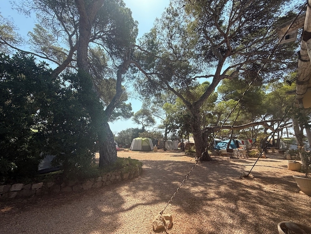 Imagen de los exteriores del Hotel Camping Laplaya Ibiza. Foto 10