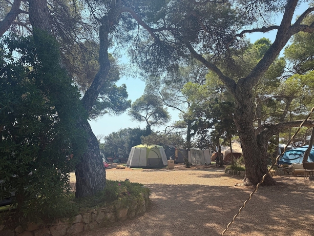 Imagen de los exteriores del Hotel Camping Laplaya Ibiza. Foto 11