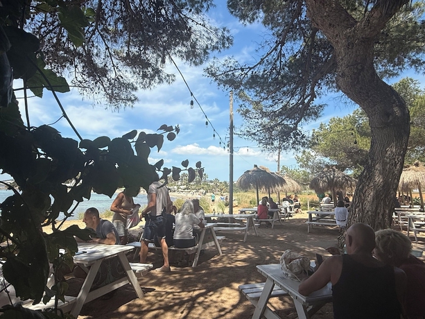 Imagen del bar/restaurante del Hotel Camping Laplaya Ibiza. Foto 4