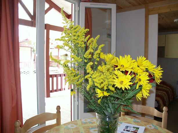 Imagen de la habitación del Hotel Camping Les Lacs de Courtes - G&icirc;tes. Foto 20