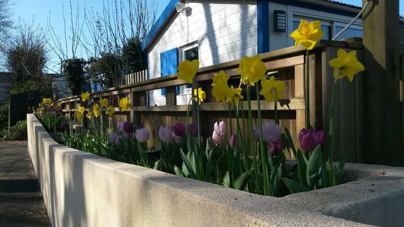 Imagen general del Hotel Camping Les Peupliers. Foto 7