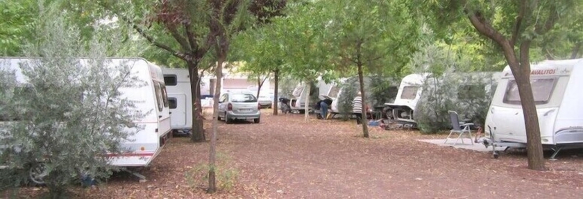 Imagen de los exteriores del Hotel Camping Los Arenales. Foto 13