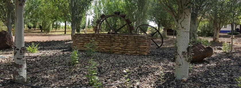 Imagen de los exteriores del Hotel Camping Los Arenales. Foto 14