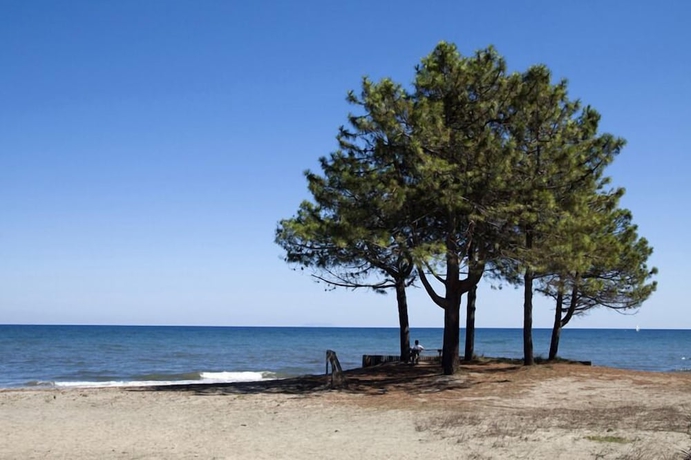 Imagen de los exteriores del Hotel Camping Merendella. Foto 17