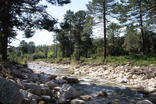 Imagen general del Hotel Camping Mulinacciu. Foto 7