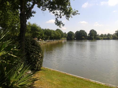 Imagen general del Hotel Camping OAKi. Foto 2