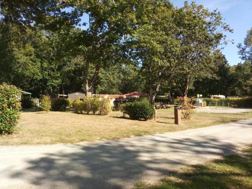 Imagen general del Hotel Camping OAKi. Foto 7