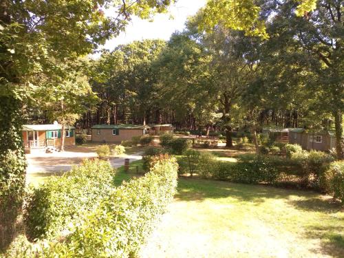 Imagen general del Hotel Camping OAKi. Foto 8