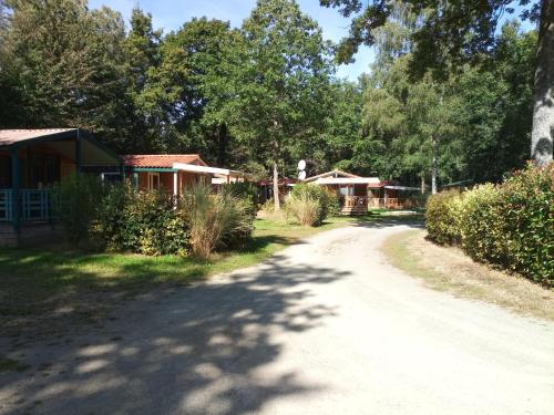 Imagen general del Hotel Camping OAKi. Foto 9