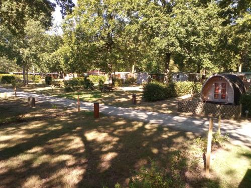 Imagen general del Hotel Camping OAKi. Foto 10