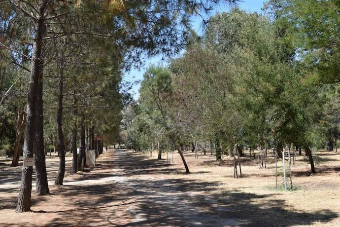Imagen general del Hotel Camping Paradella. Foto 2