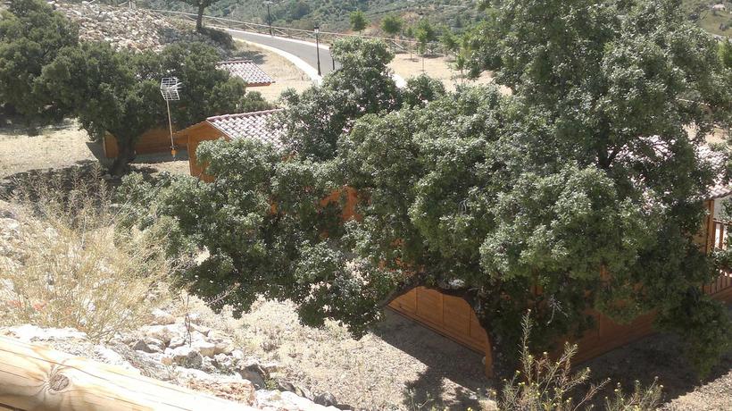 Imagen general del Hotel Camping Pueblo Blanco. Foto 3