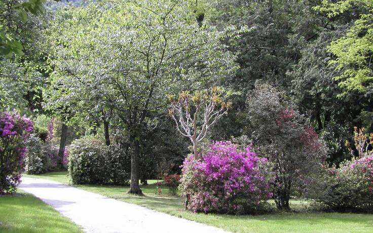 Imagen general del Hotel Camping Valle Romantica. Foto 11