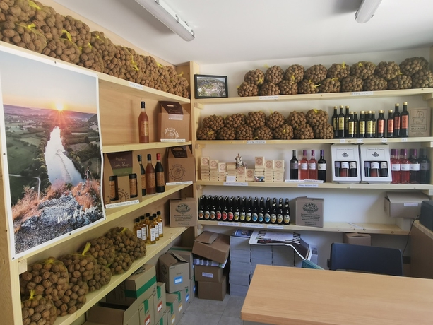 Imagen de los interiores del Hotel Camping la Plage. Foto 19