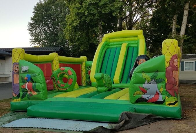 Imagen general del Hotel Camping le Rochat. Foto 17
