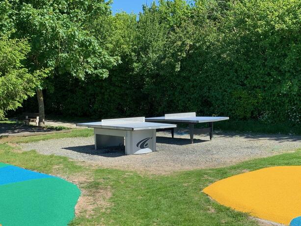 Imagen general del Hotel Camping le Rouge Gorge **** 10\' Puy du Fou. Foto 119