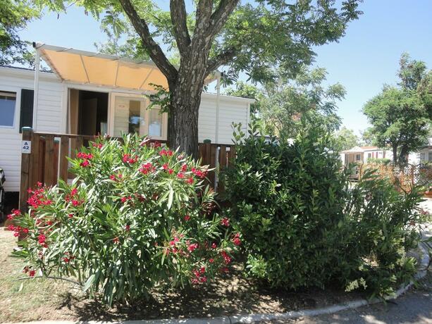 Imagen general del Hotel Camping les Acacias. Foto 16