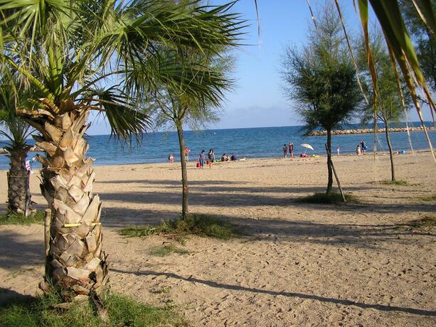 Imagen general del Hotel Camping les Acacias. Foto 20