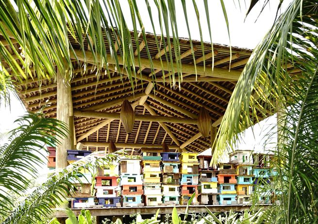 Imagen de los exteriores del Hotel Campo Bahia Villas Spa. Foto 8