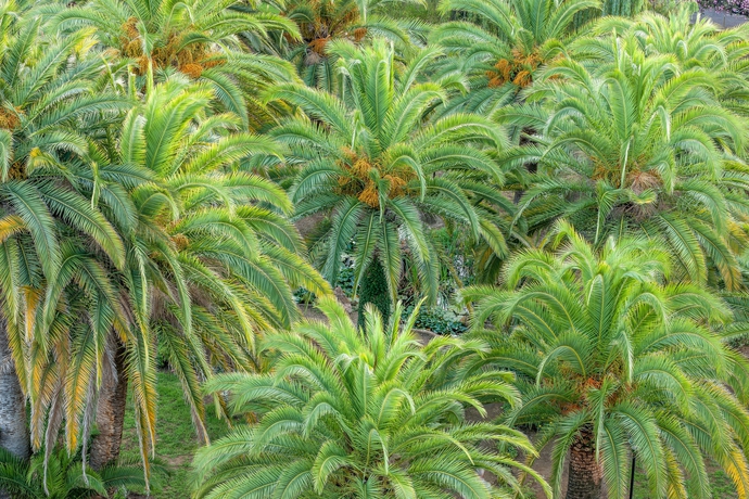 Imagen de los exteriores del Hotel Campo Dell'oro. Foto 15