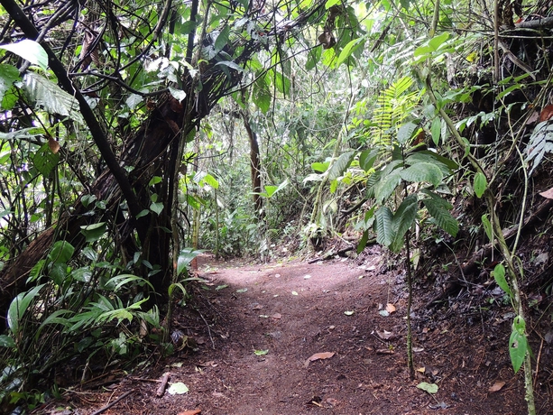 Imagen de los exteriores del Hotel Campo Verde. Foto 11