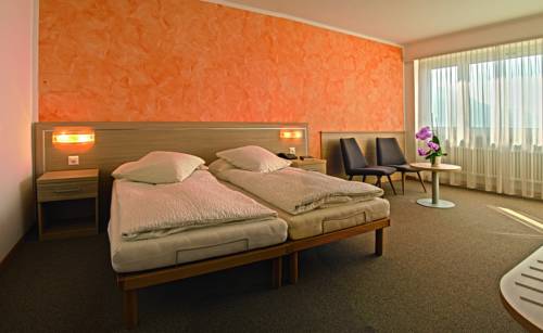 Imagen de la habitación del Hotel Campofelice, Minusio. Foto 14