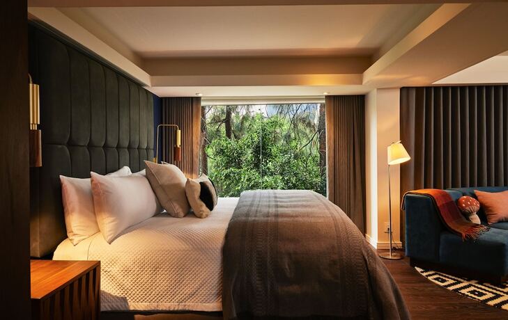 Imagen de la habitación del Hotel Campos Polanco. Foto 13