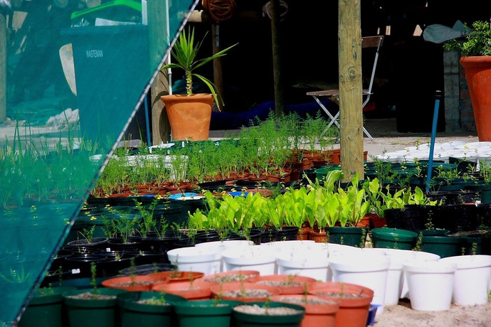 Imagen de los exteriores del Hotel Camps Bay Retreat. Foto 12