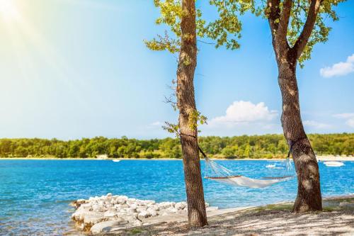 Imagen general del Hotel Campsite Puntica Mobile Homes Mediteran Kamp. Foto 2