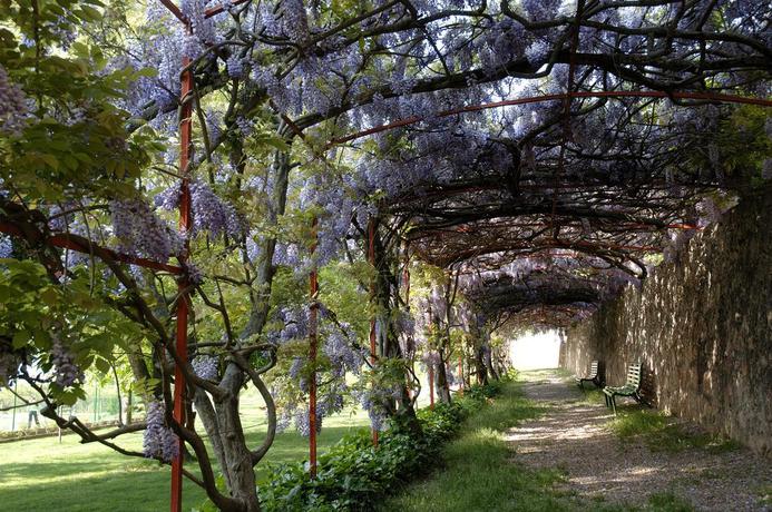 Imagen general del Hotel Can Boix De Peramola. Foto 7