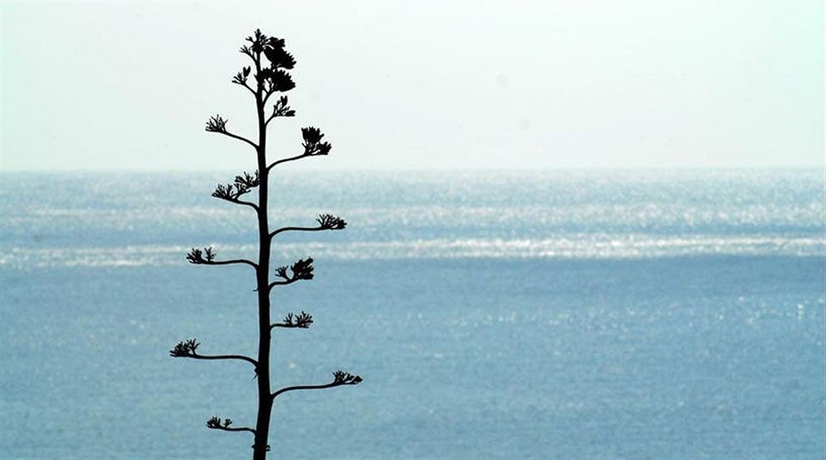 Imagen de los exteriores del Hotel Can Simoneta - Adults Only. Foto 6